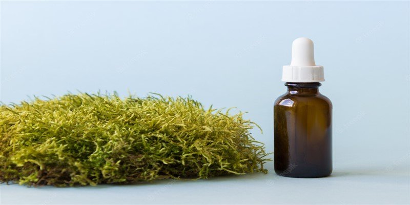 Does Castor Oil Help Hair Growth?