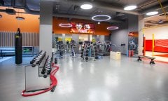 clinic gallery 32